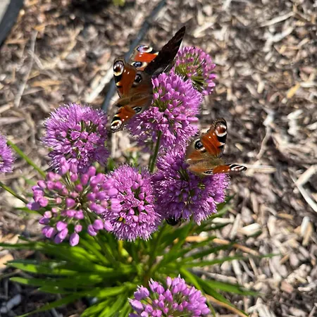 Lovnatura - Z Jacuzzi & Sauna Διαμέρισμα Staniszow