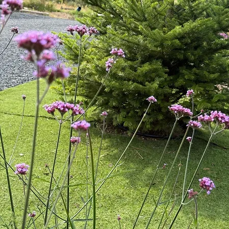 Daire Lovnatura - Z Jacuzzi & Sauna *