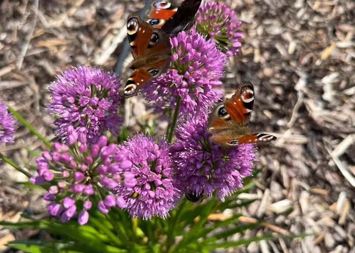 Lovnatura - Z Jacuzzi & Sauna Διαμέρισμα Staniszow